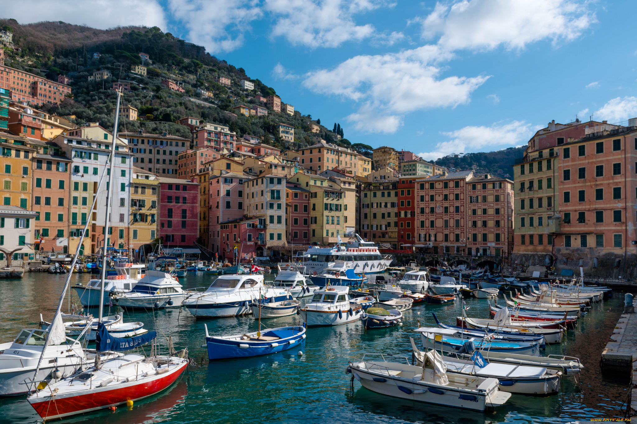 porto di camogli, ,  ,  , 